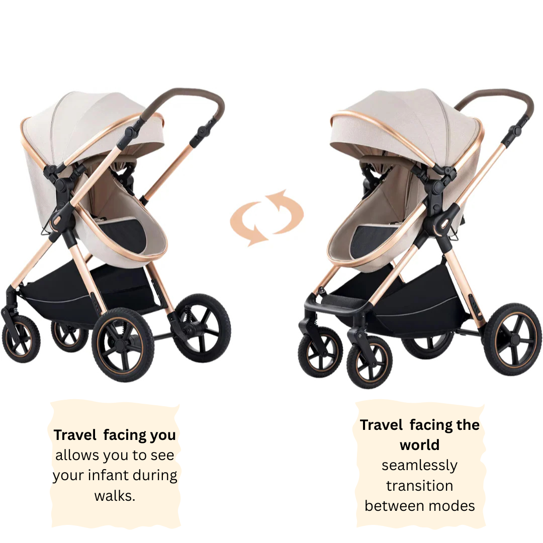 3-in-1 Luxury Travel System