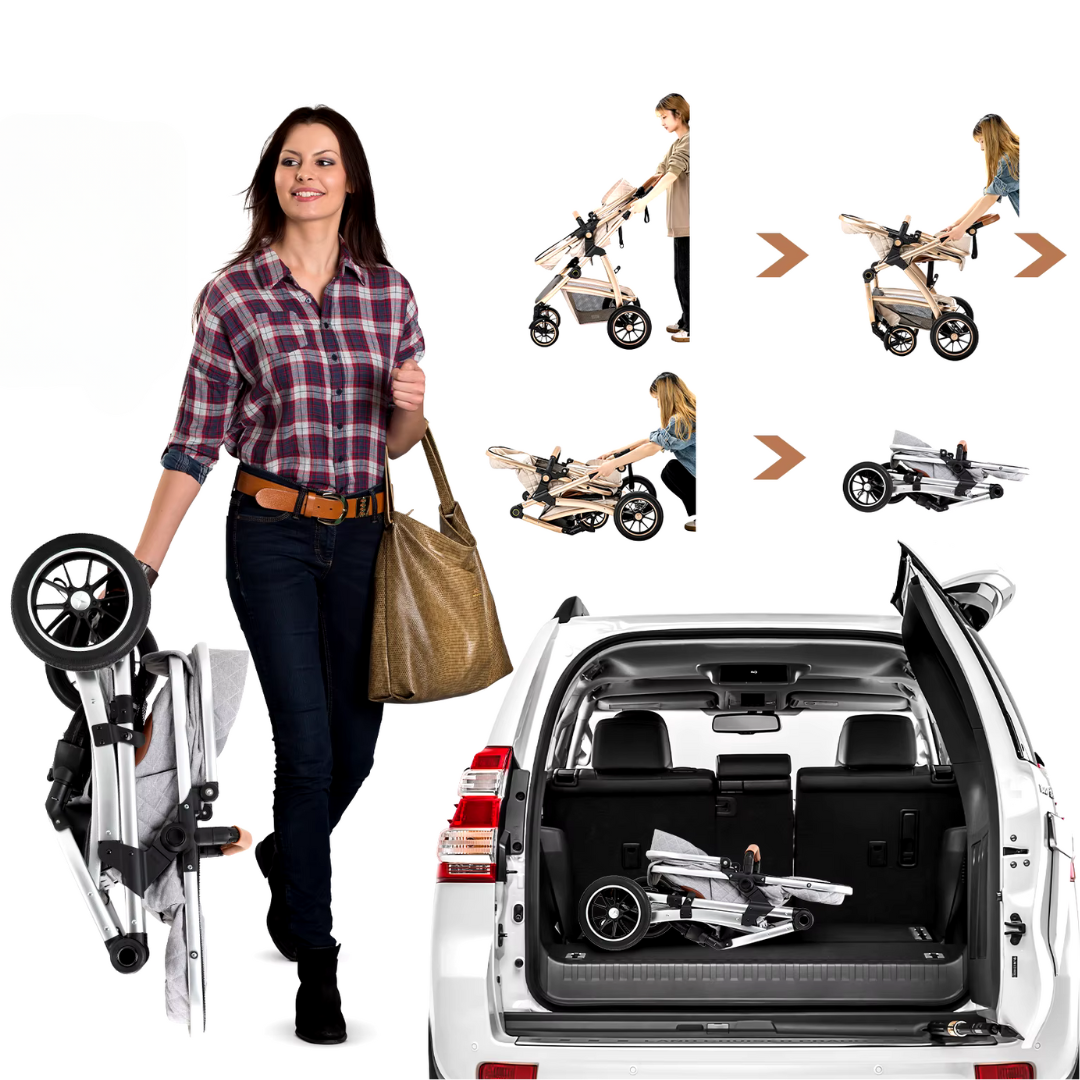 Luxury All-in-One Pushchair Set